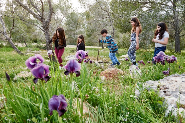 צעדת הגלבוע