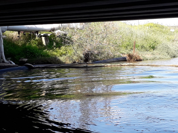 צינור שפכים תעשייתים בנחל קישון