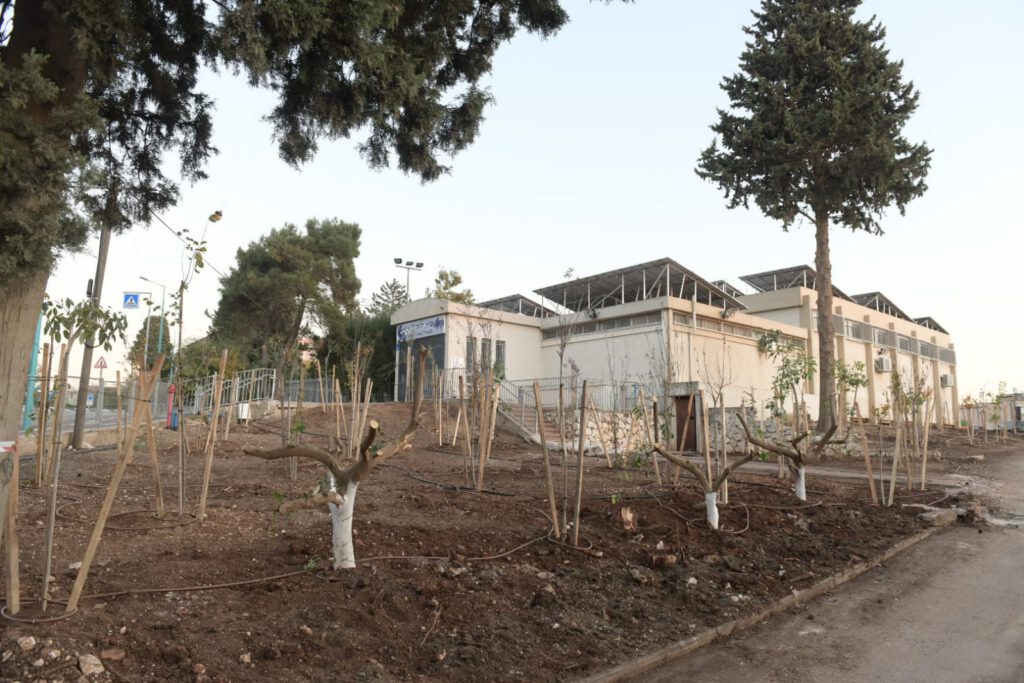 מבצע הנטיעות הגדול ביותר בנוף הגליל