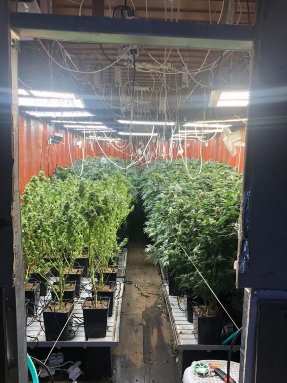 המשטרה חשפה אמש במושב עבדון מעבדת הידרו שהוקמה בתוך קונטיינר (מכולה) ועצרה 2 תושבי המקום החשודים בהפעלתה.