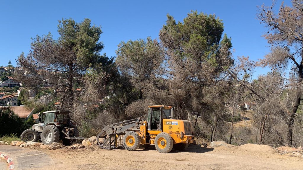 עיריית נוף הגליל החלה בפרויקט רחב היקף להכשרת אזורי חיץ בשטחי היער הסמוכים לשכונות המגורים