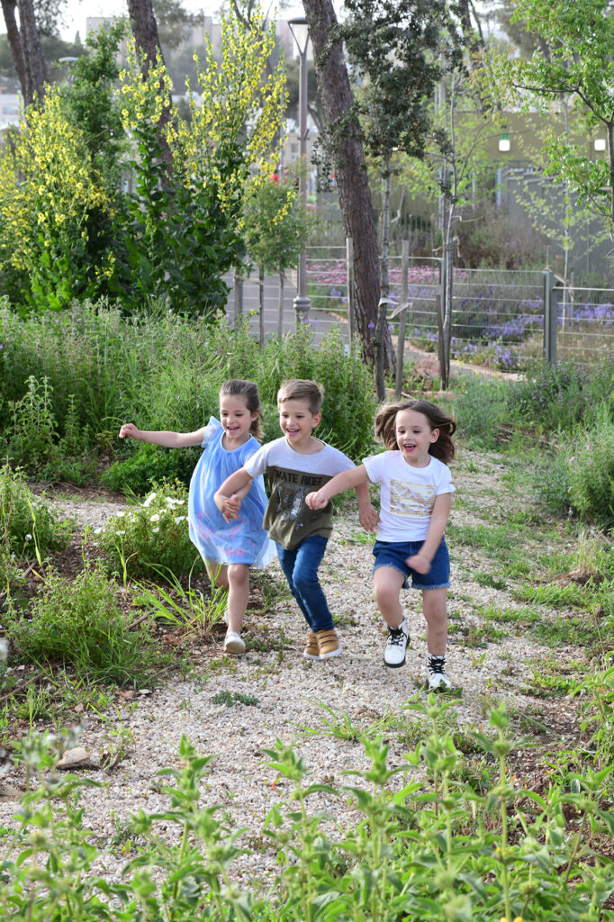 טיול בנוף הגליל