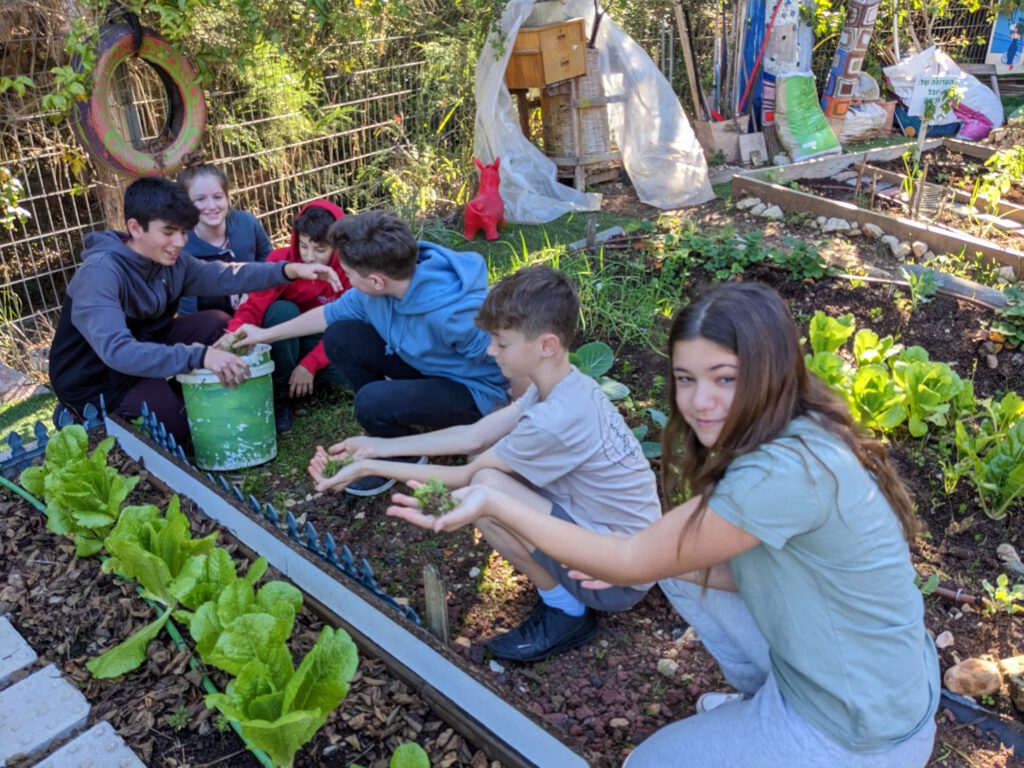 קרדיט צילום: דוברות עיריית חיפה