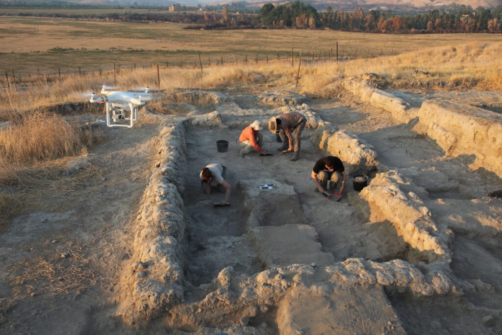 חפירות וגילוי העדות הקדומה ביותר לשימוש בסיבי כותנה במזרח הקדום בתל צף