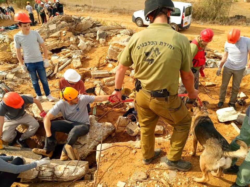 תמונות מן ההכשרות של יכ"ל עם כלבים באתרי הרס.