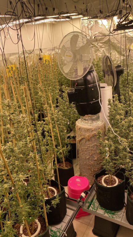 צילום של הסמים שנתפסו: קרדיט: דוברות המשטרה