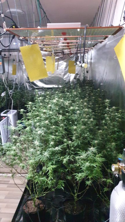 תמונות המעבדת הידרו שנתפסה- קרדיט: דוברות המשטרה