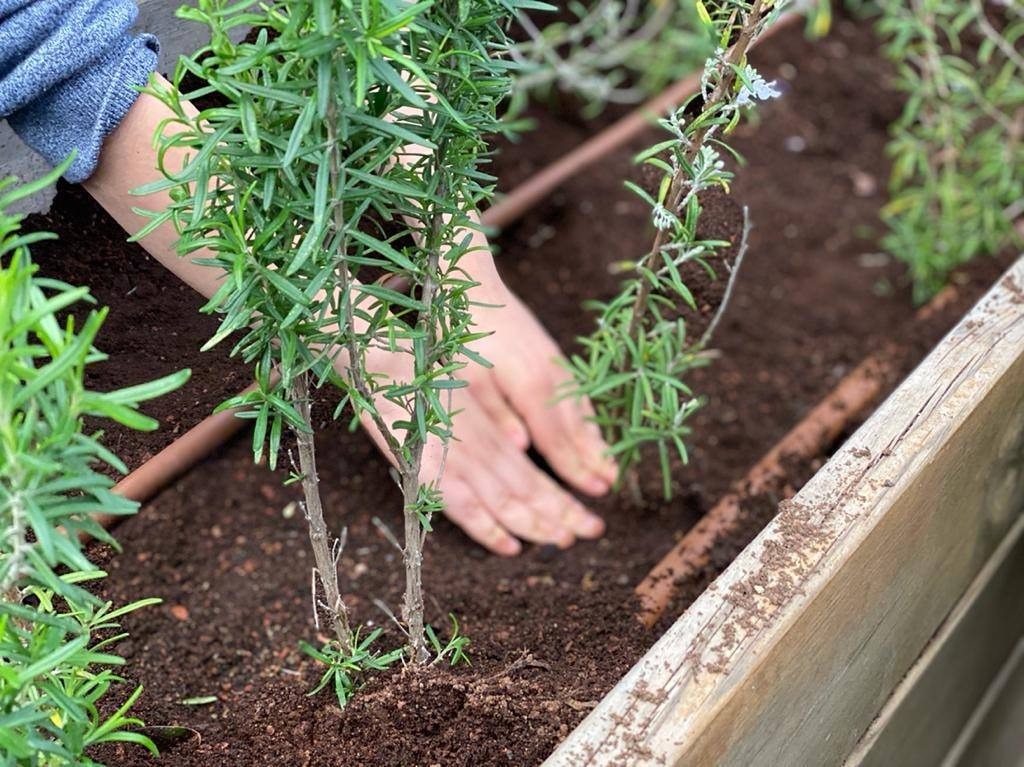 קרדיט צילומי ארכיון: דוברות עיריית חיפה