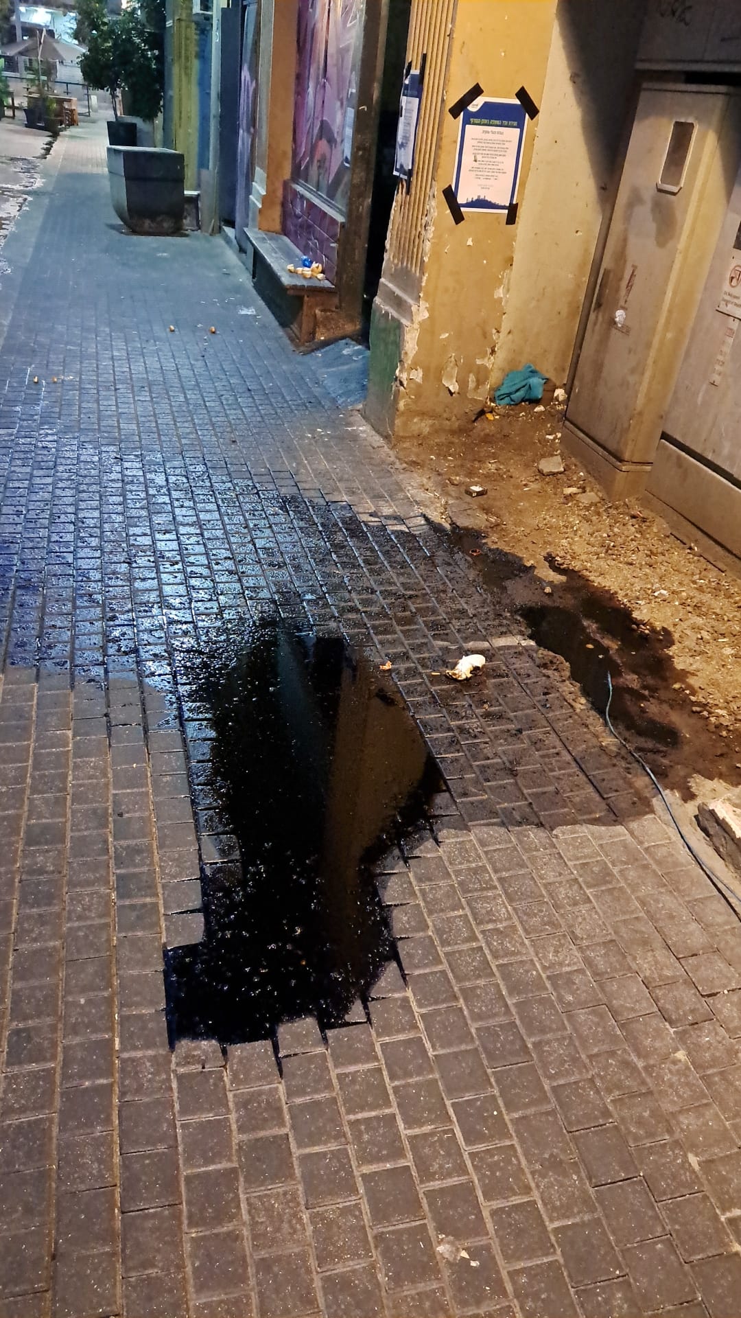 קרדיט צילום: דוברות עיריית חיפה