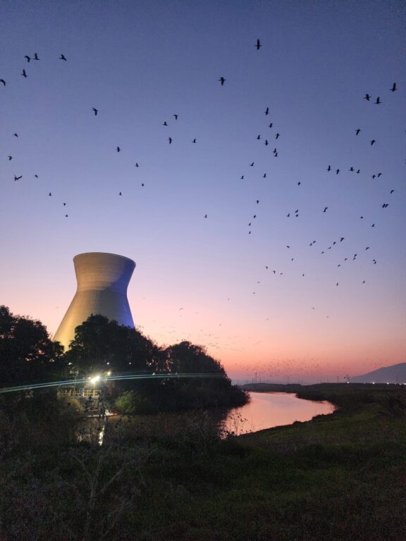 נחל הקישון, צילום: מעיין ציון, רשות נחל הקישון