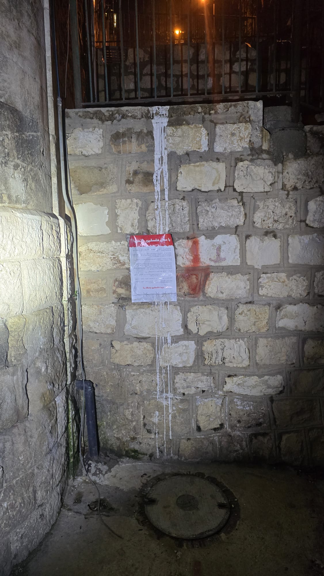 קרדיט צילום: דוברות עיריית חיפה