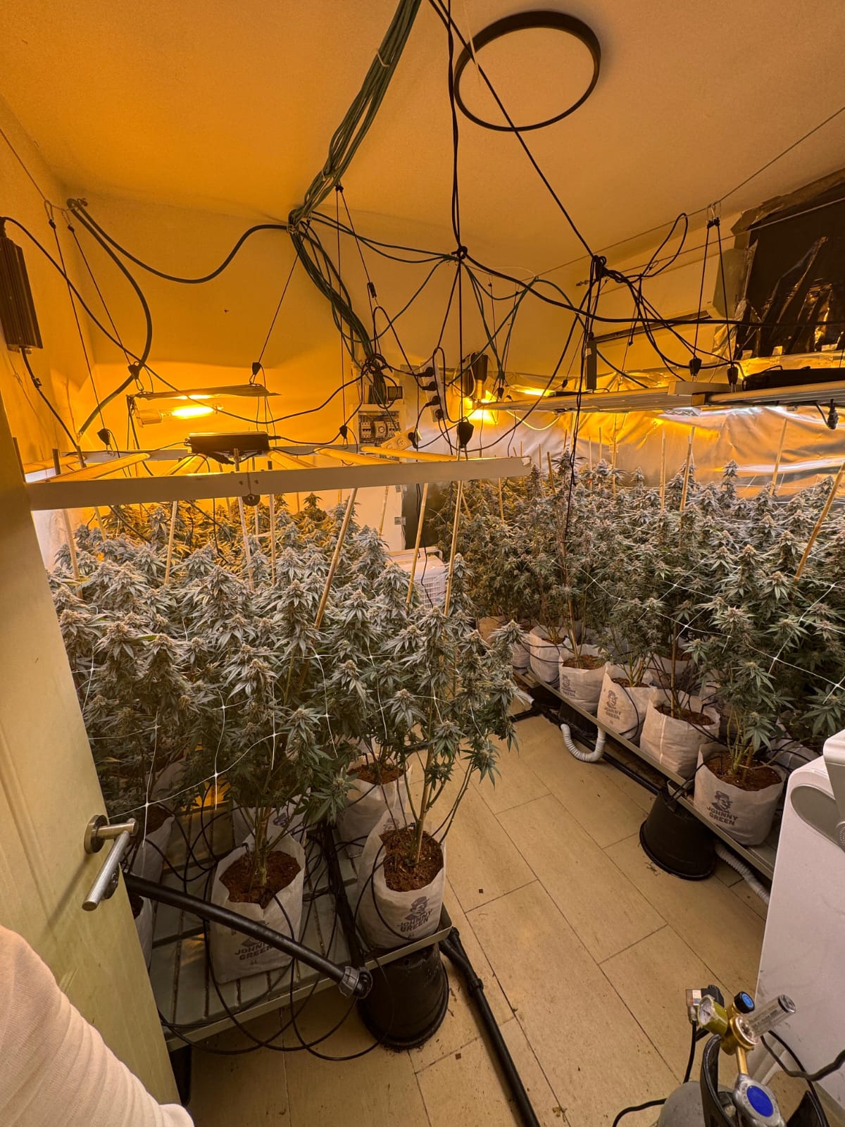 תיעוד מהפעילויות | קרדיט: דוברות המשטרה