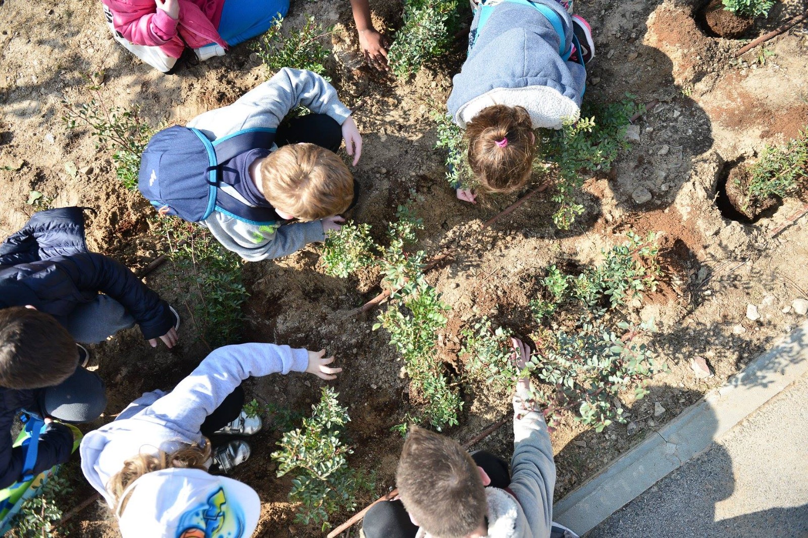 קרדיט צילומי ארכיון: ראובן כהן, דוברות עיריית חיפה