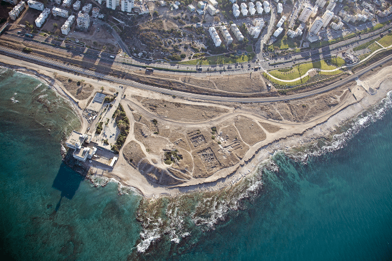 קרדיט צילום: Fig2 צילום: מיכאל אייזנברג