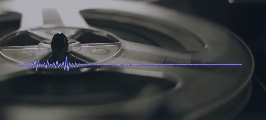 קרדיט דוברות המשטרה