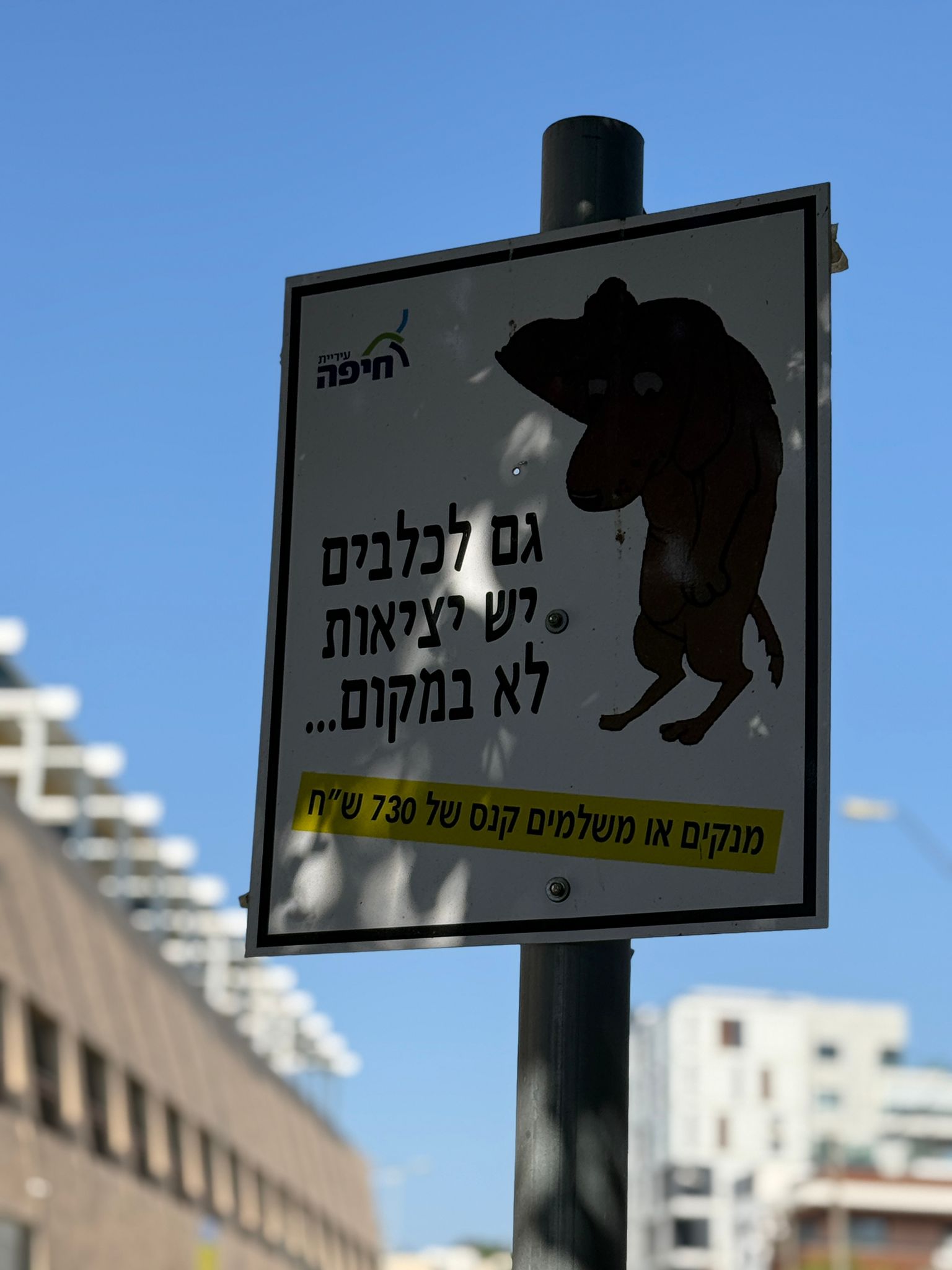 צילום: ענת סולומון דוברות עיריית חיפה