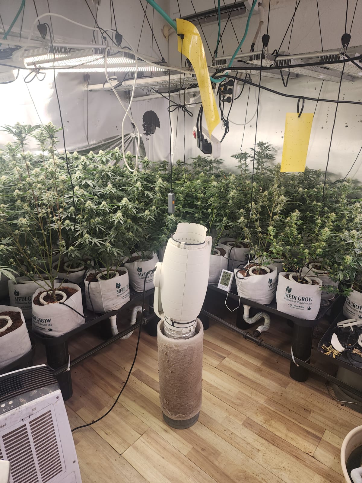 חממת סמים תיעוד מהפעילות, קרדיט: דוברות המשטרה.