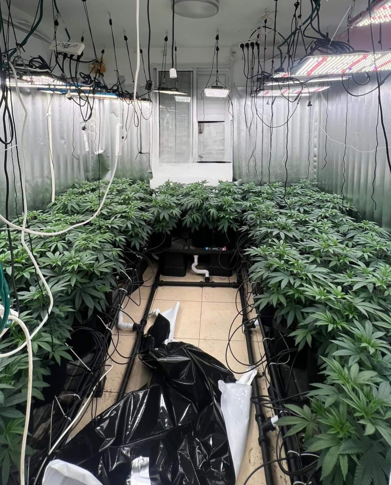 תיעוד מהפעילות קרדיט - דוברות המשטרה