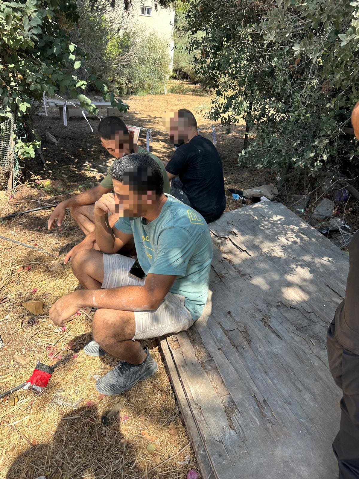 צילום: דוברות עיריית חיפה