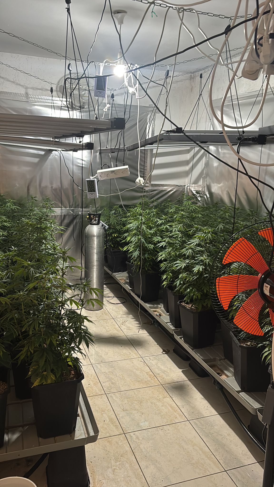 תיעוד: תמונות וסרטון מהדירה קרדיט: דוברות המשטרה