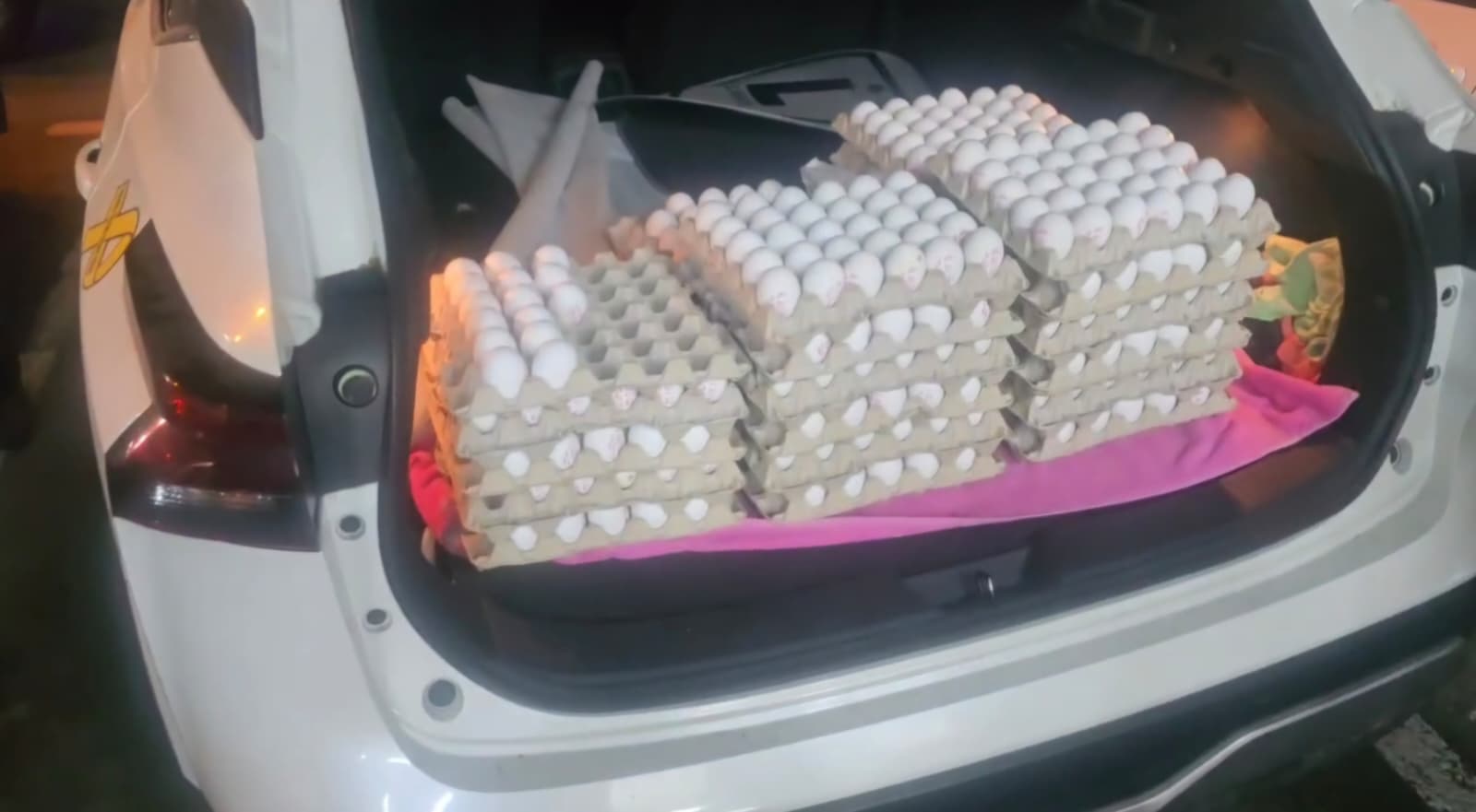 קרדיט צילום: דוברות עיריית חיפה