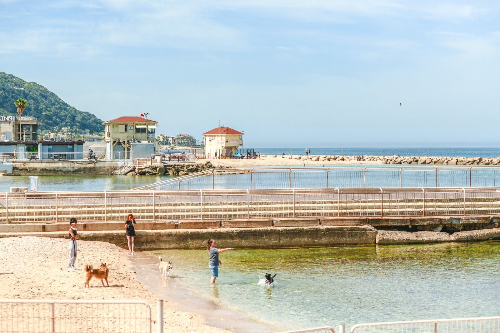 קרדיט צילום: ניר בלזיצקי, דוברות עיריית חיפה