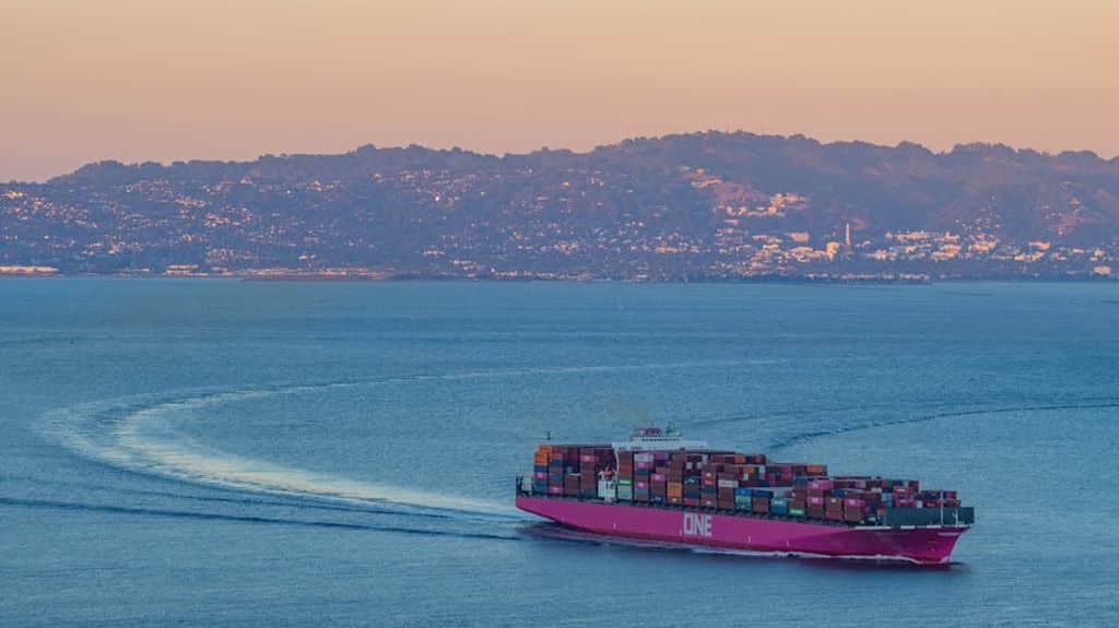 קרדיט התמונה: Robert So באתר PEXELS