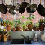 "את לא תהיי לעולם רותי ברודו". האישה בתגובה: "אתה חושב שאתה אייל שני, אבל אתה לא מגיע לקרסוליים שלו"