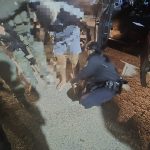 אין לאן לברוח- שוטרי מרחב מנשה בשיתוף פעולה עם יחידת הגדעונים לה"ב 433 עצרו חשוד בניסיון רצח בדירת מסתור