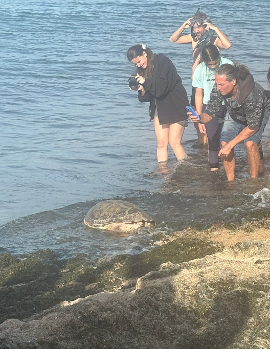 קרדיט צילום: דוברות עיריית חיפה