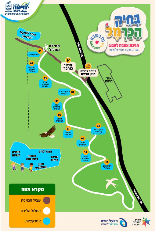 קרדיט צילומי ארכיון: ענת סלומון, דוברות עיריית חיפה