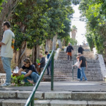 מדרגות נאות