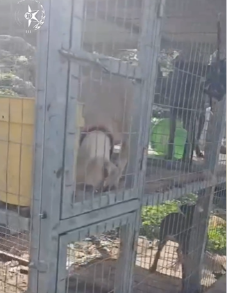 מצ"ב תיעוד קרדיט דוברות המשטרה