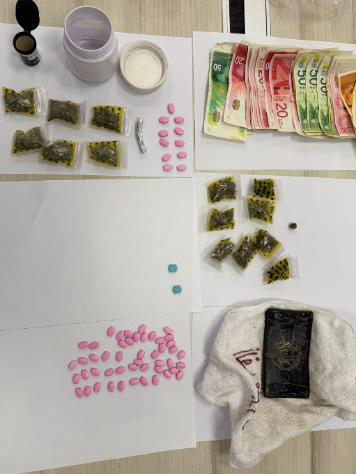 תמונה קרדיט - דוברות המשטרה