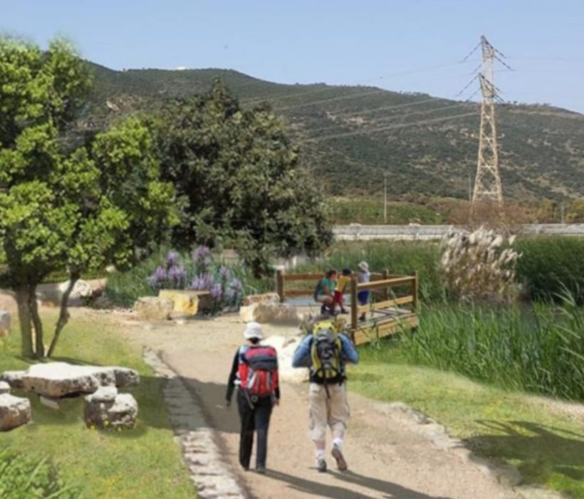 צילום הצילום הדמיה ניתן לפרסם ללא קרדיט