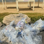 מחזירים אהבה לחוף: תלמידי בית ספר רעות לאומנויות השתתפו בפעילות ניקיון בחופי חיפה