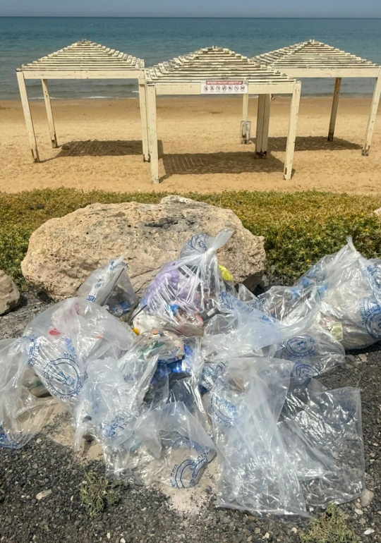 צילום: דוברות עיריית חיפה