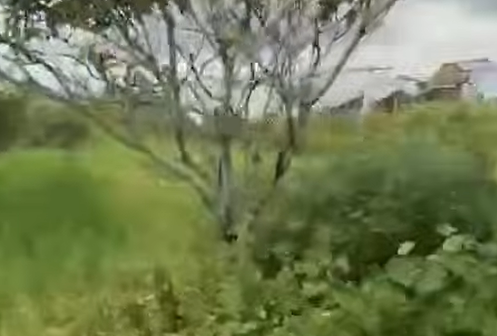 קרדיט: דוברות המשטרה