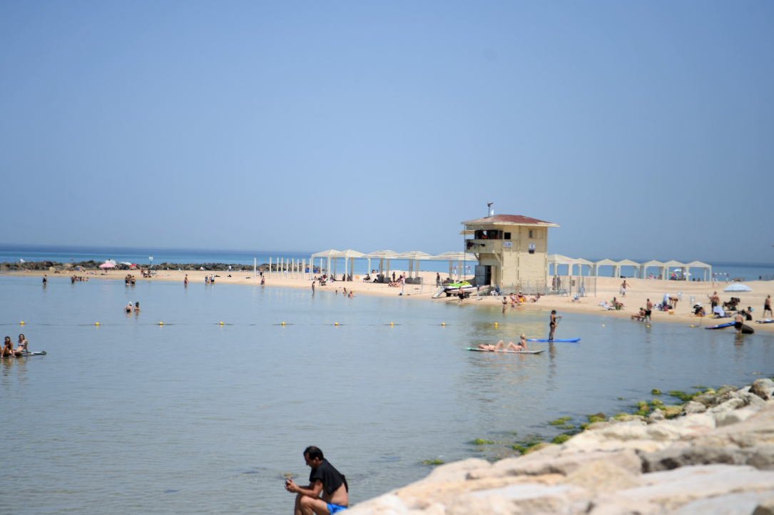 קרדיט צילום: ראובן כהן, דוברות עיריית חיפה
