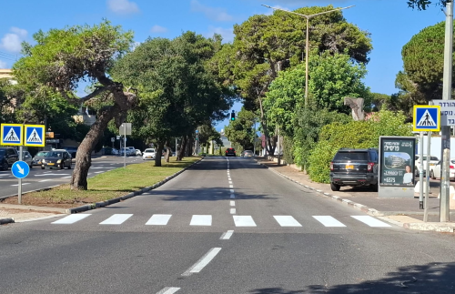 קרדיט צילום: דוברות עיריית חיפה