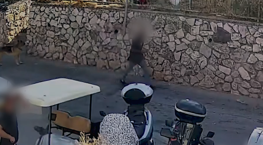 קרדיט: דוברות המשטרה